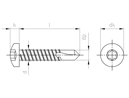 DIN 7504 A2 M 3,9X50 TX15