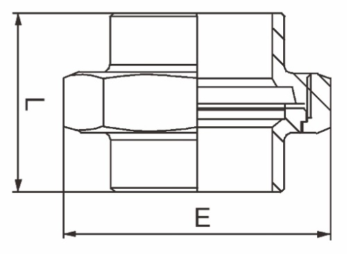 Šroubení - typ 314 - 1.4401: 6/4" 