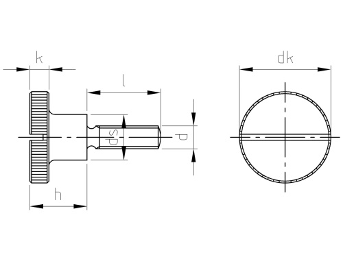 DIN 465  AISI 303  M 3X6