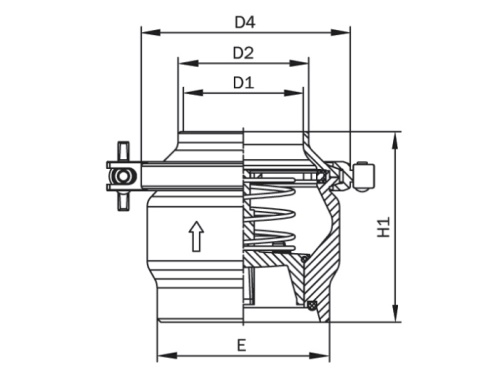 Ventil zpětný - závit/svár - 1.4404: DN 80