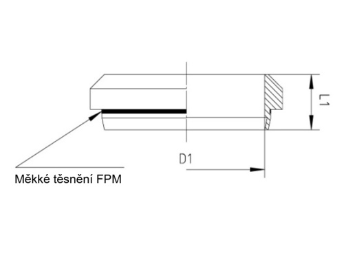 Zářezný kroužek, tvrzený, leštěný s FPM těsněním, PN160: 22