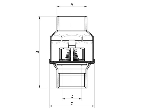 Ventil zpětný IDRJA 1"1/4 316 PTFE