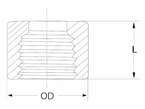 Nátrubek krátký, A182 B16.11, 3000 LBS, 316L: 2" (NPT)