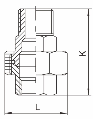 Šroubení - typ 315 - 1.4401: 6/4" 